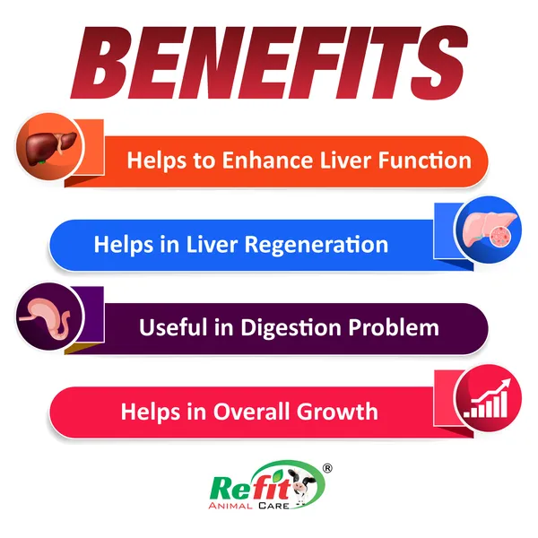 Herbal_Liver_Tonic_For_Cow,_Cattle,_Goat_&_Poultry,_Rivliv_500_ml._(Set_of_4_Pcs)