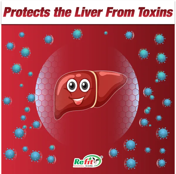 Herbal_Liver_Tonic_For_Cow,_Cattle,_Goat_&_Poultry,_Rivliv_500_ml._(Set_of_4_Pcs)