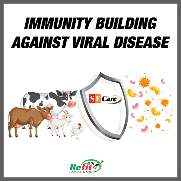 Vitamin_E_&_Selenium_Supplement_for_Poultry,_Goat,_Cow,_Cattle_and_Farm_Animals,_SE_Care_200_gms.