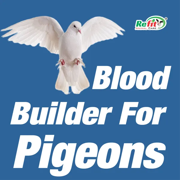 Blood_Builder,_Iron_Tonic_&_Oxygen_Restoration_for_Pigeons,_Speedo_plus_500_ml