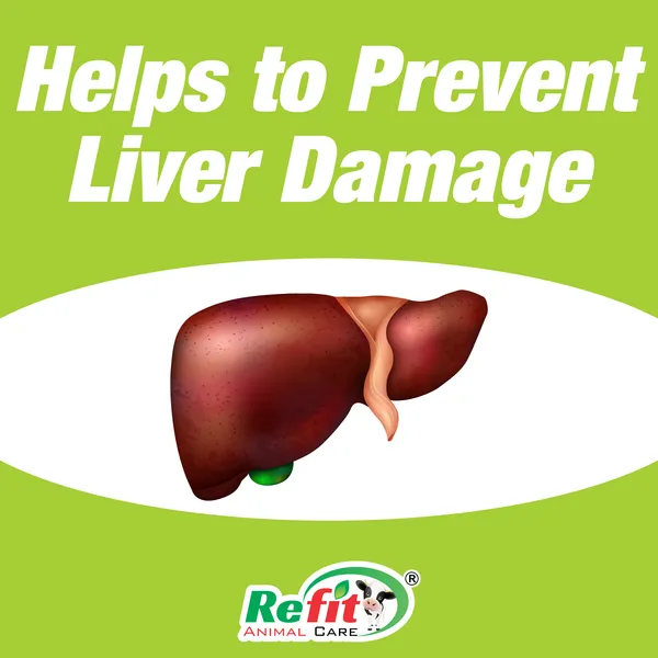 Liver_Tonic_for_Cattle,_Poultry_and_Aquatic_Animals,_Tofliv_1_Ltr