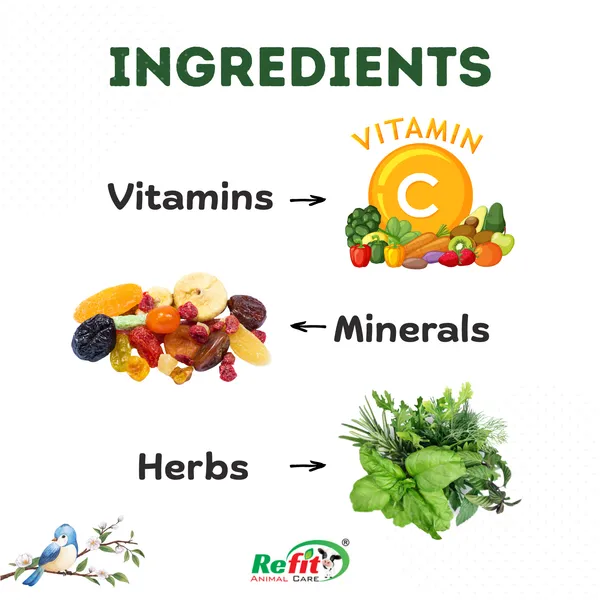 Multivitamin_for_Birds_for_Health,_Growth_and_Feathering,_Vita_Bird_100_ML