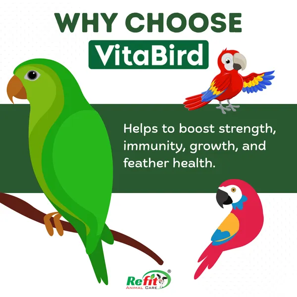 Multivitamin_for_Birds_for_Health,_Growth_and_Feathering,_Vita_Bird_100_ML