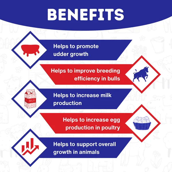 Vitamin_H_for_Cow,_Cattle,_Buffalo,_Sheep,_Goat,_Poultry,_Dairy_Farm_and_Livestock_Animals,_Viytum-H_1_Ltr_(Set_of_4_Pcs)