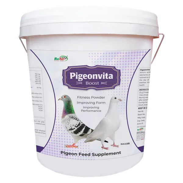 Fitness_Powder_Performance_supplement_Pet_Health_Supplements,_Pigeonvita_Boost_10_Kg