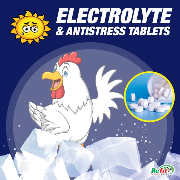 Electrolyte_and_Vitamin_C_Tablets_for_Summer_Stress,_Heat_Stroke_in_Poultry,_Wet-Up_Tablets_500_gm