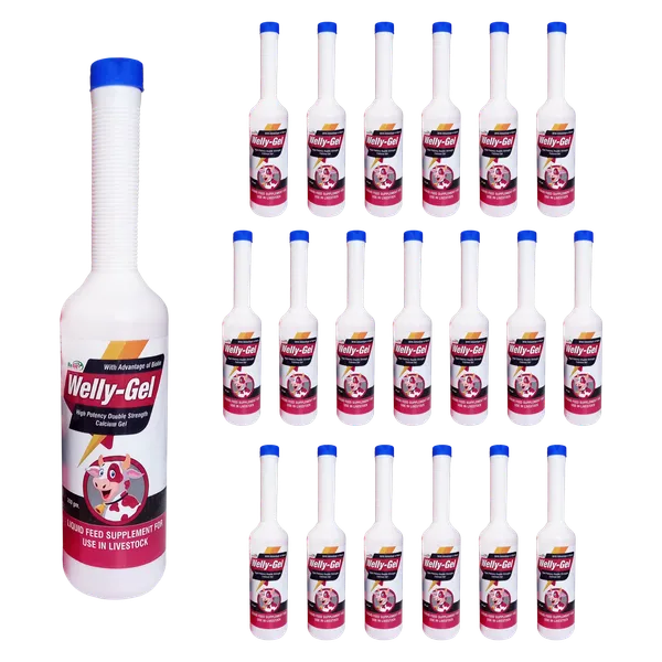 Veterinary_Calcium_Gel_for_Cattle,_Cows_&_Buffalo,_Welly_Gel_300_gms._(Set_of_20_Pcs)