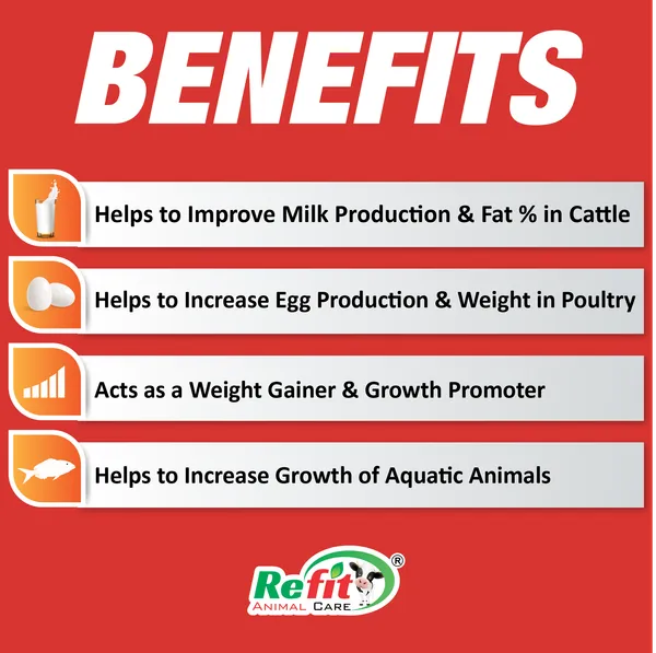Zeolite_Based_Multivitmin_Powder_for_Cattle,_Poultry_and_Aquatic_Animals,_Zoom-H_5_Kg