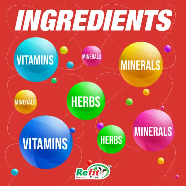 Zeolite_Based_Multivitmin_Powder_for_Cattle,_Poultry_and_Aquatic_Animals,_Zoom-H_5_Kg