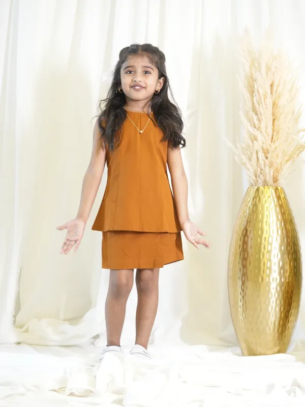 Brown_Back_Button_Top_For_Girl_Kids