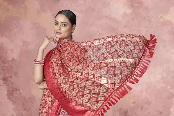 Red_Banarasi_Silk_Saree_With_Golden_Zari_Work_And_Matching_Blouse