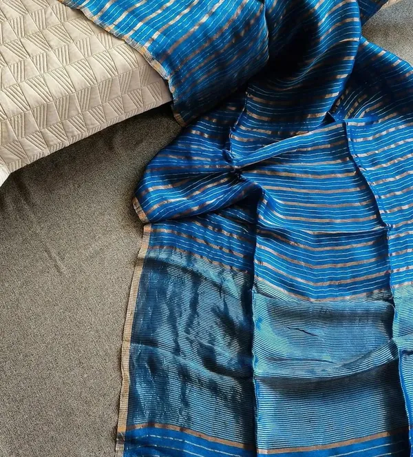Blue_And_Black_Striped_Saree_With_Traditional_Border