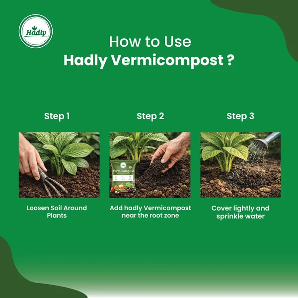 Hadly_Vermicompost