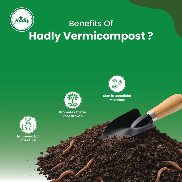 Hadly_Vermicompost