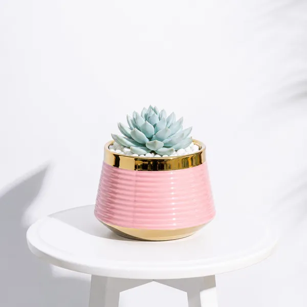 Golden_Aura_Planter_Baby_Pink