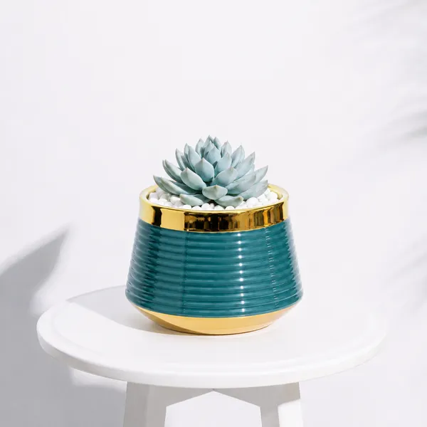 Golden_Aura_Planter_Teal
