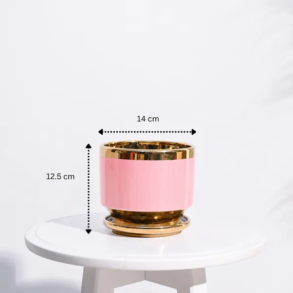 Golden_Luxe_Planter_Baby_Pink