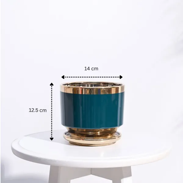 Golden_Luxe_Planter_Dark_Teal