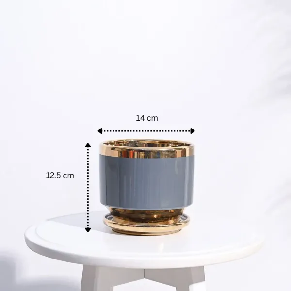 Golden_Luxe_Planter_Gray