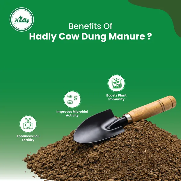 Hadly_Cow_Dung_Manure