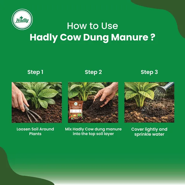 Hadly_Cow_Dung_Manure