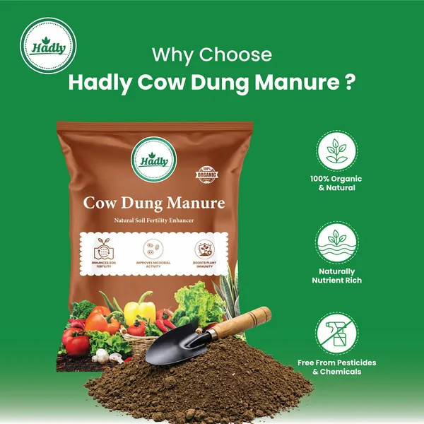 Hadly_Cow_Dung_Manure