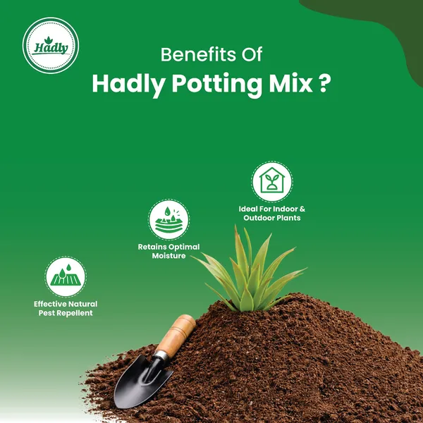 Hadly_Potting_Mix
