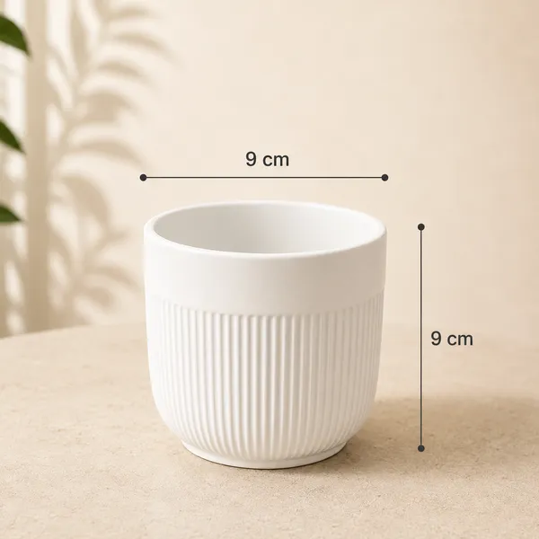 Riva_Ceramic_Planter_White