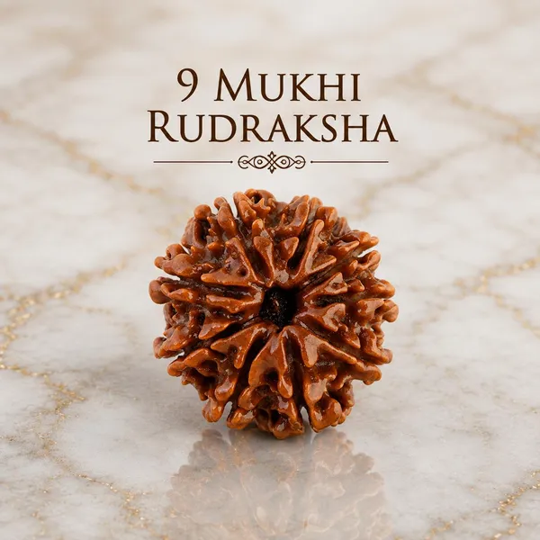 Brown_Natural_Rudraksha_9_Mukhi_Sacred_Bead_For_Unisex