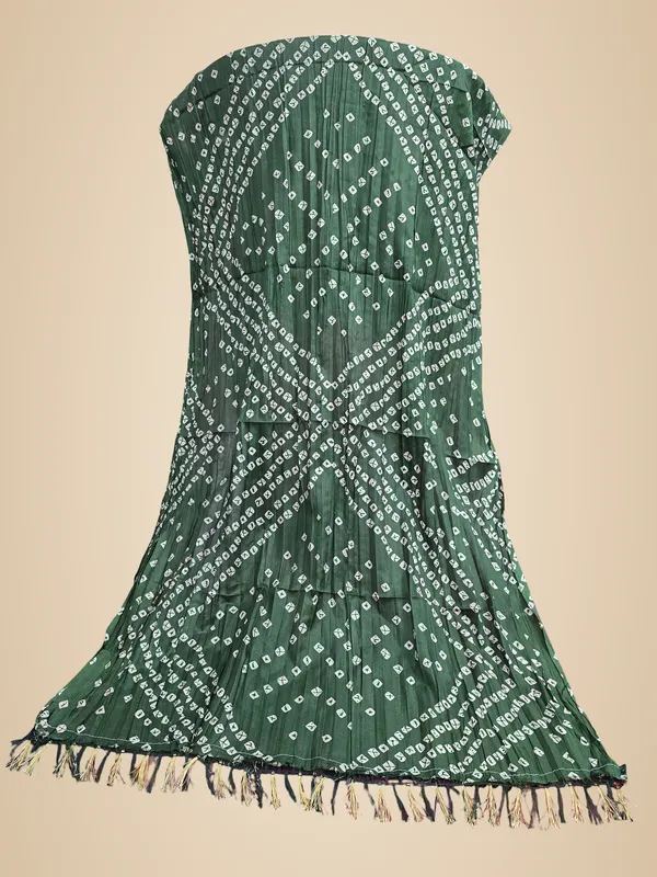 Green_Chiffon_Printed_Dupatta_For_Women