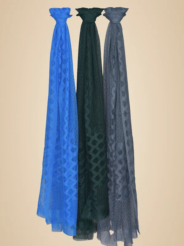 Multicolor_Net_Self_Design_Dupatta_For_Women_(Pack_Of_3)