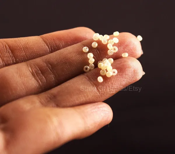 Beige_Opal_Glass_Seed_Beads_|_2mm_|_1_Bunch