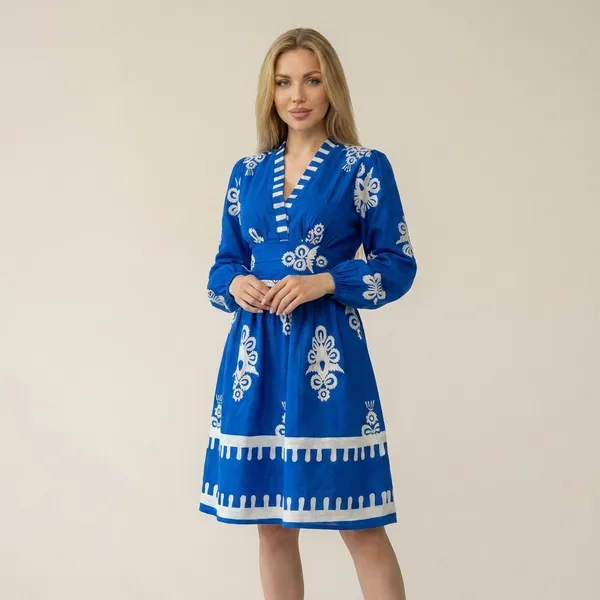 Blue_And_White_Embroidered_Floral_Dress_With_Long_Sleeves