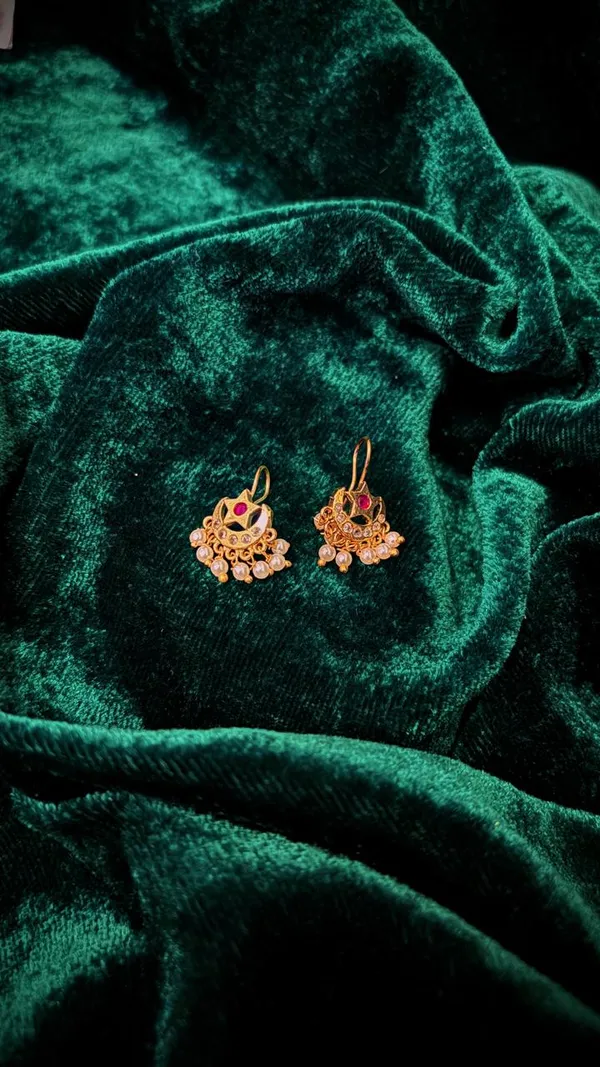 Elegant_Kuhu_Bugdi
