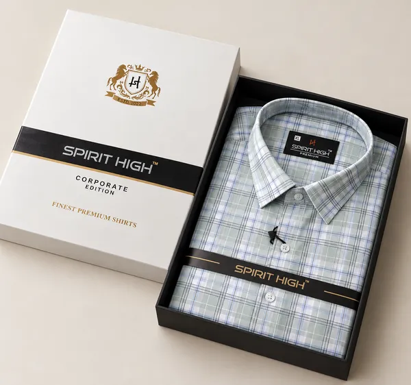 Light_Blue_Checked_Casual_Shirt_For_Men
