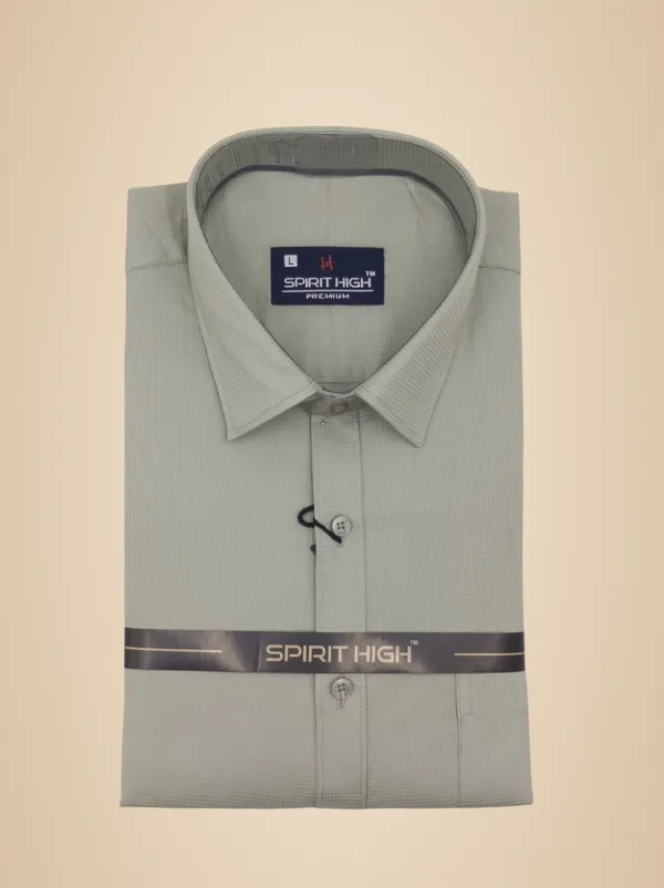 Sage_Green_Cotton_Lycra_Formal_Shirt_For_Men