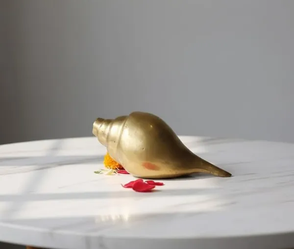 Sjl_Polished_Brass_Blowing_Shankh_Smooth_Gold_Finish_Vamavarti_Conch_For_Pooja_Yoga_Meditation