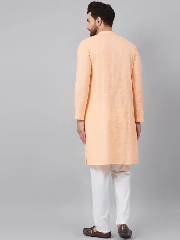 Chikankari_Embroidered_Straight_kurta