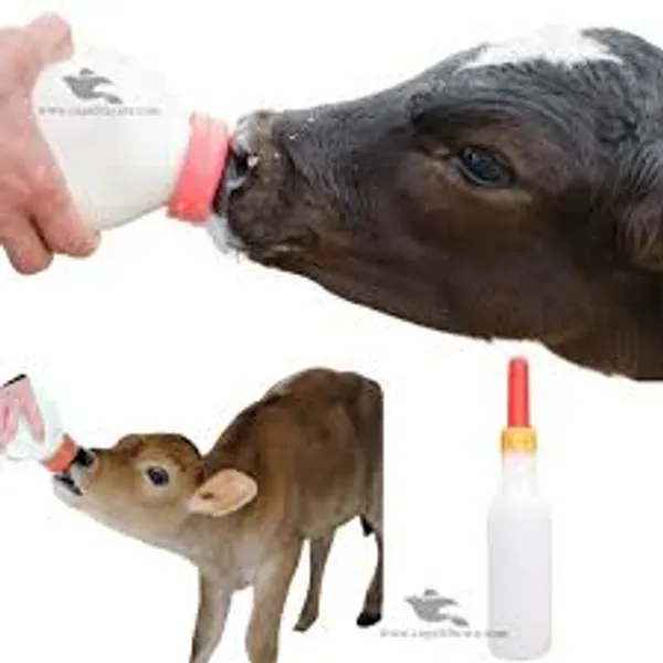 White_&_Red_Food_Grade_Plastic_Calf_Feeding_Bottle_With_Nipple