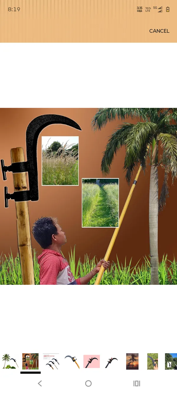 Silver_Steel_Curved_Blade_Coconut_Harvesting_Tool
