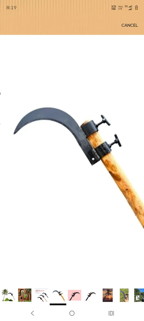 Silver_Steel_Curved_Blade_Coconut_Harvesting_Tool
