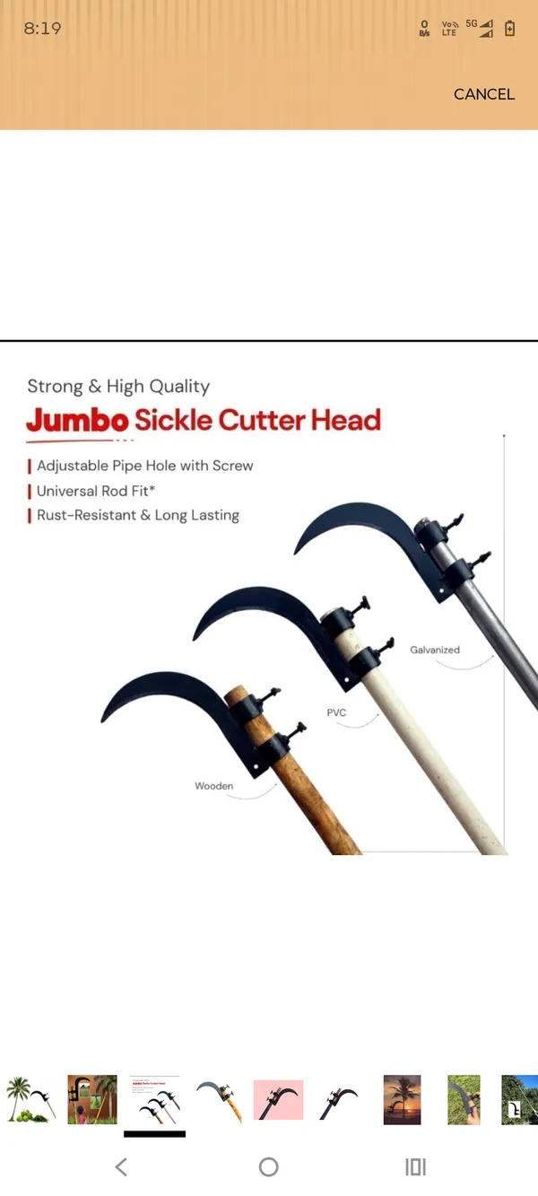 Silver_Steel_Curved_Blade_Coconut_Harvesting_Tool