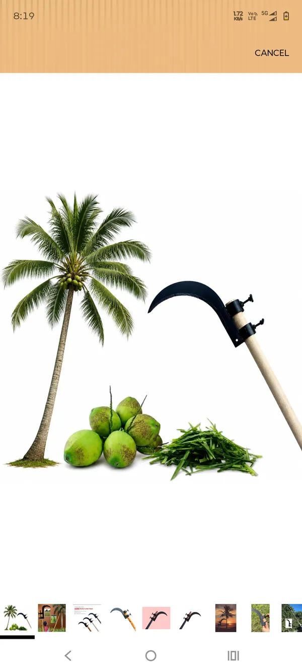 Silver_Steel_Curved_Blade_Coconut_Harvesting_Tool