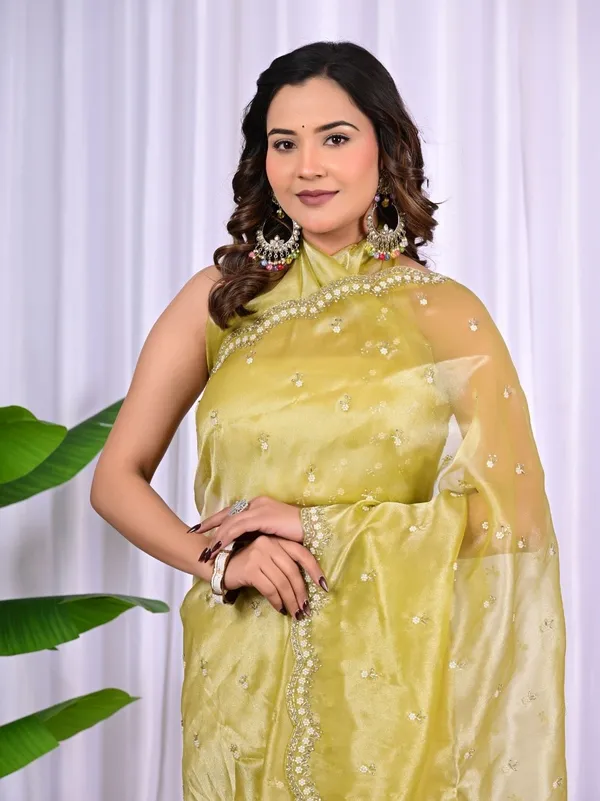 Designer_Jiraff_Saree_With_Kardana_Parle_Sequin_Cutwork_Elegant_Wedding_Festive_Wear_Pink
