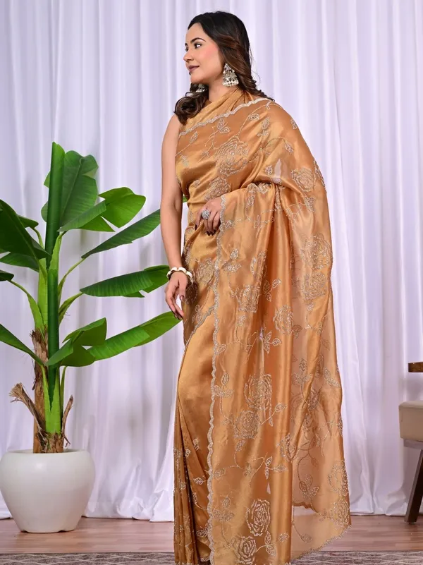Elegant_Rayna_Net_Saree_With_Siroski_Work_Designer_Party_Wear_Festive_Saree_Bronze