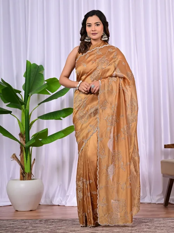 Elegant_Rayna_Net_Saree_With_Siroski_Work_Designer_Party_Wear_Festive_Saree_Bronze