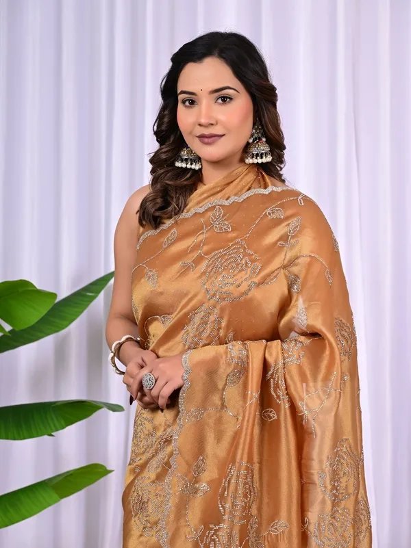 Elegant_Rayna_Net_Saree_With_Siroski_Work_Designer_Party_Wear_Festive_Saree_Bronze