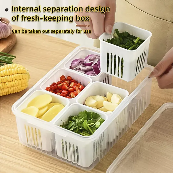 Roxique_6-Compartment_Refrigerator_Food_Storage_Container_with_Transparent_Lid