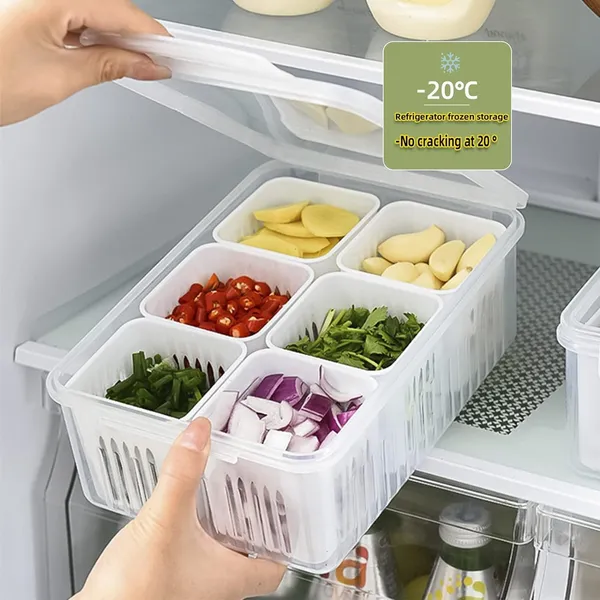 Roxique_6-Compartment_Refrigerator_Food_Storage_Container_with_Transparent_Lid