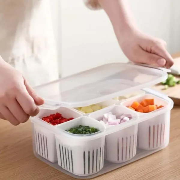 Roxique_6-Compartment_Refrigerator_Food_Storage_Container_with_Transparent_Lid